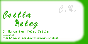 csilla meleg business card